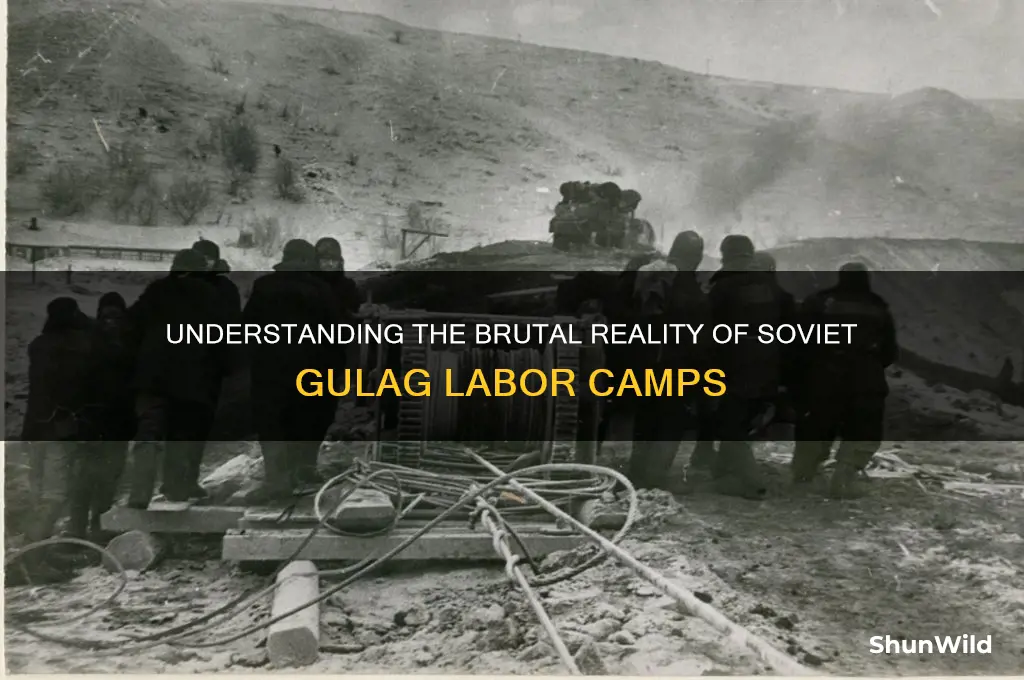 what is a gulag camp