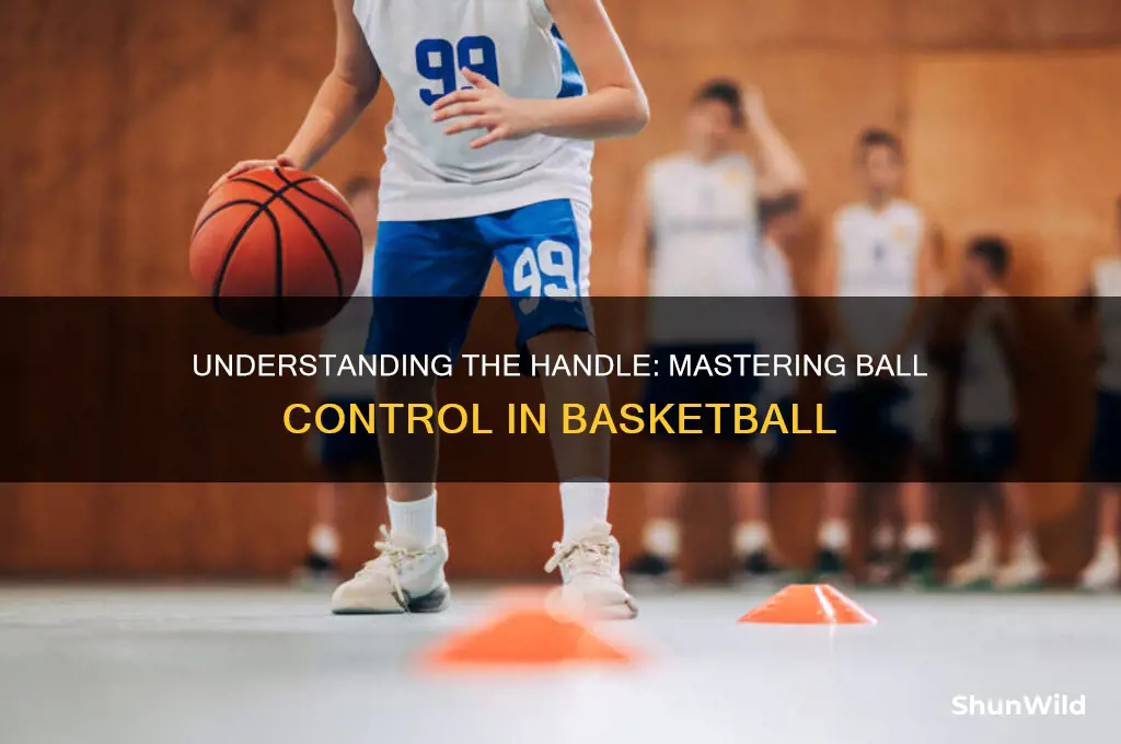 what is a handle in basketball