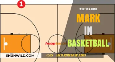 Understanding the Hash Mark: A Key Element in Basketball Court Layout