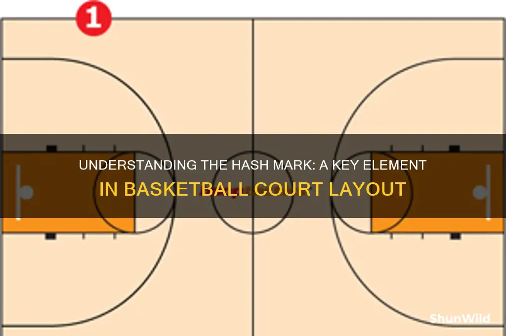 what is a hash mark in basketball
