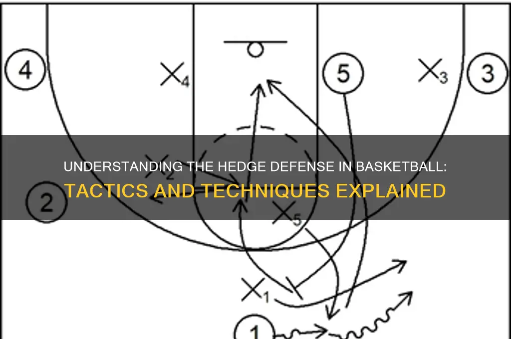 what is a hedge basketball