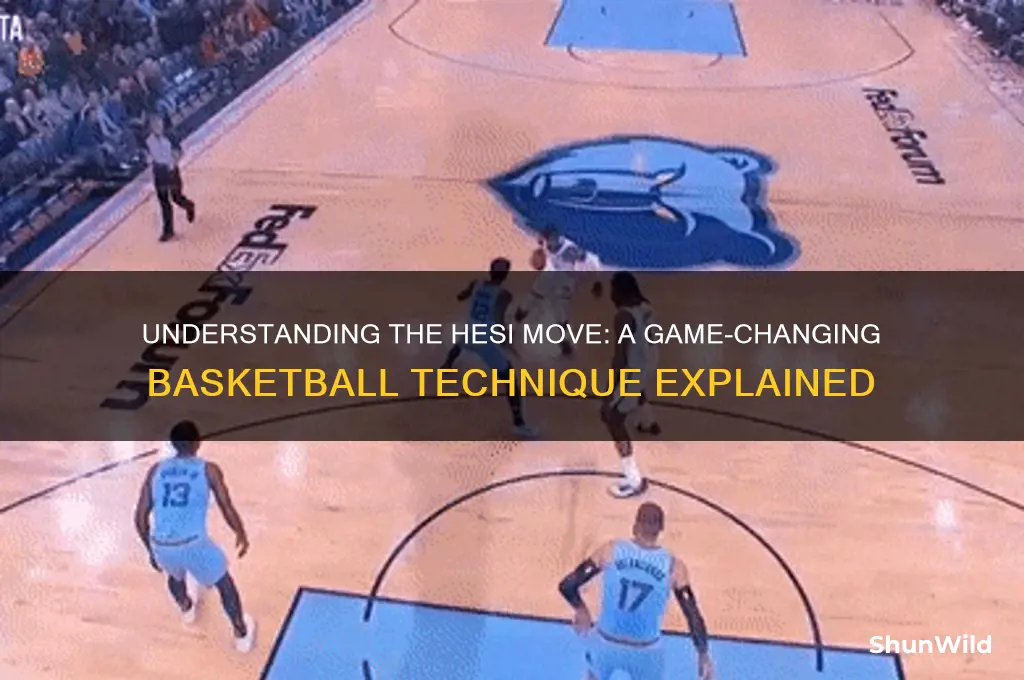 what is a hesi basketball