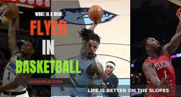 Basketball High Flyers: Understanding the Athletic Elite