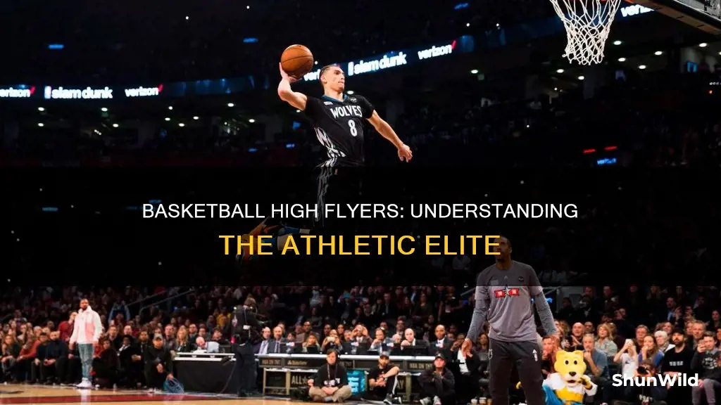 what is a high flyer in basketball