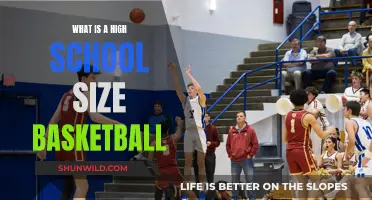The Unique Specifications of High School-Size Basketballs