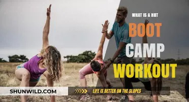 Discover the Intense Benefits of HIIT Boot Camp Workouts