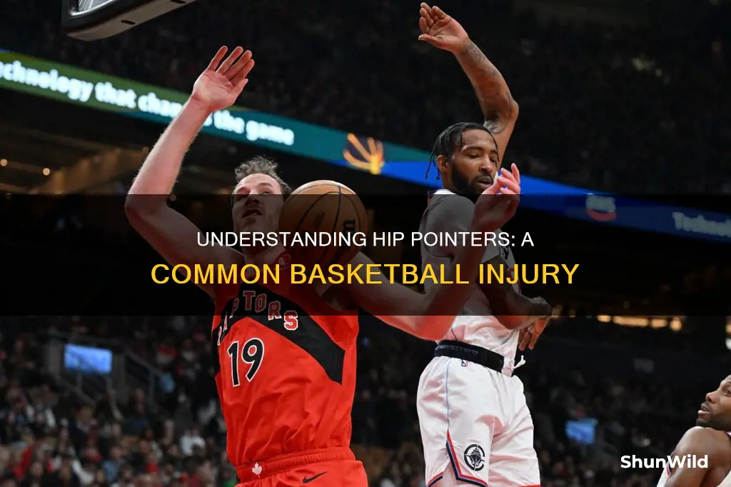 what is a hip pointer in basketball