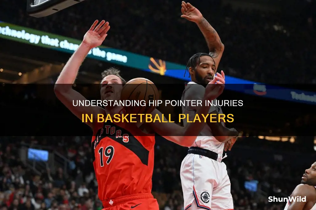 what is a hip pointer injury in basketball