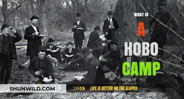 Exploring the History and Reality of Hobo Camps in America