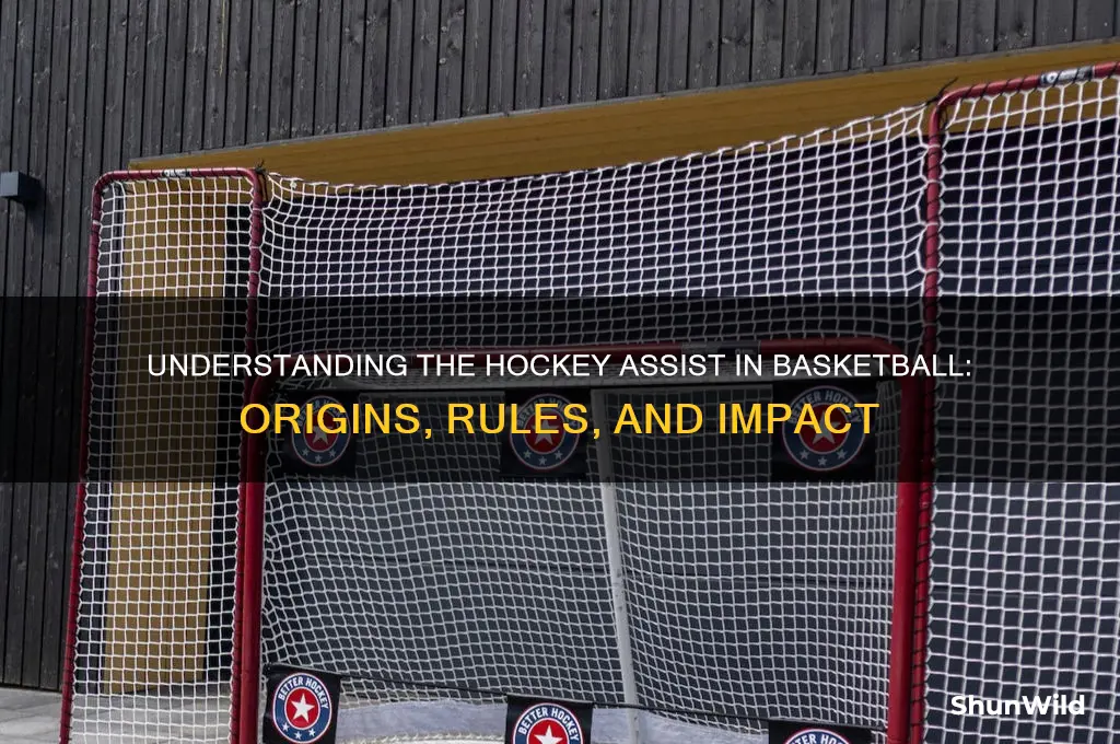 what is a hockey assist basketball
