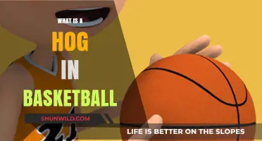 Understanding the Hog in Basketball: Rules, Penalties, and Strategies