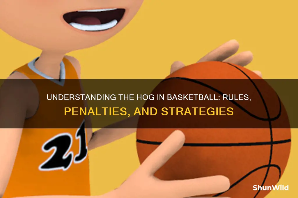 what is a hog in basketball
