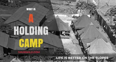 Understanding Holding Camps: Purpose, History, and Modern Applications Explained