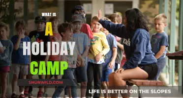 Exploring Holiday Camps: Fun, Adventure, and Relaxation for All Ages