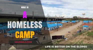 Understanding Homeless Camps: A Look at Temporary Shelters and Communities