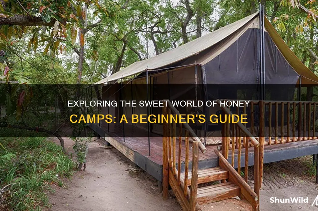 what is a honey camp