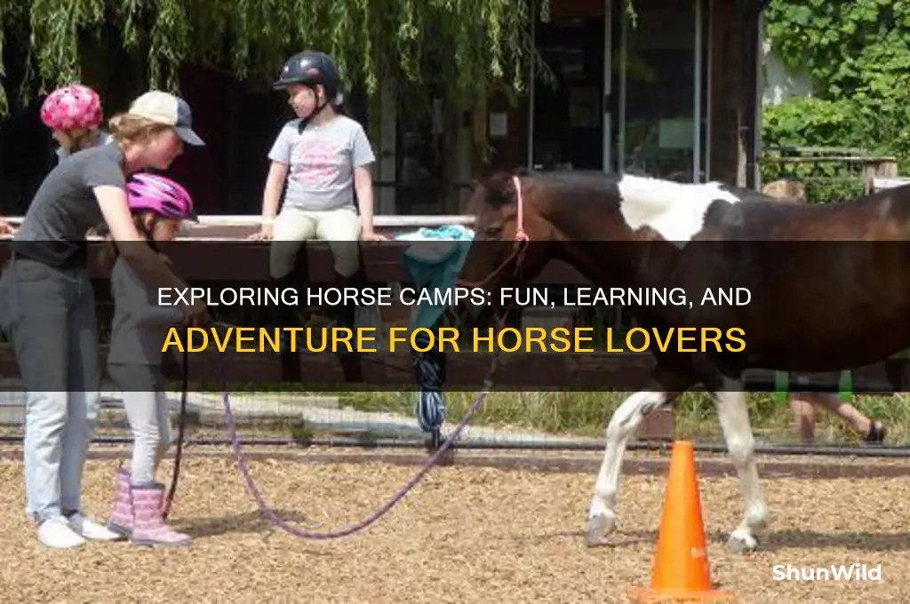 what is a horse camp