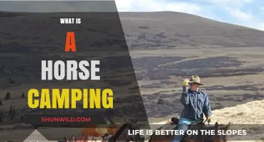 Exploring Horse Camping: Adventure, Nature, and Equine Bonding