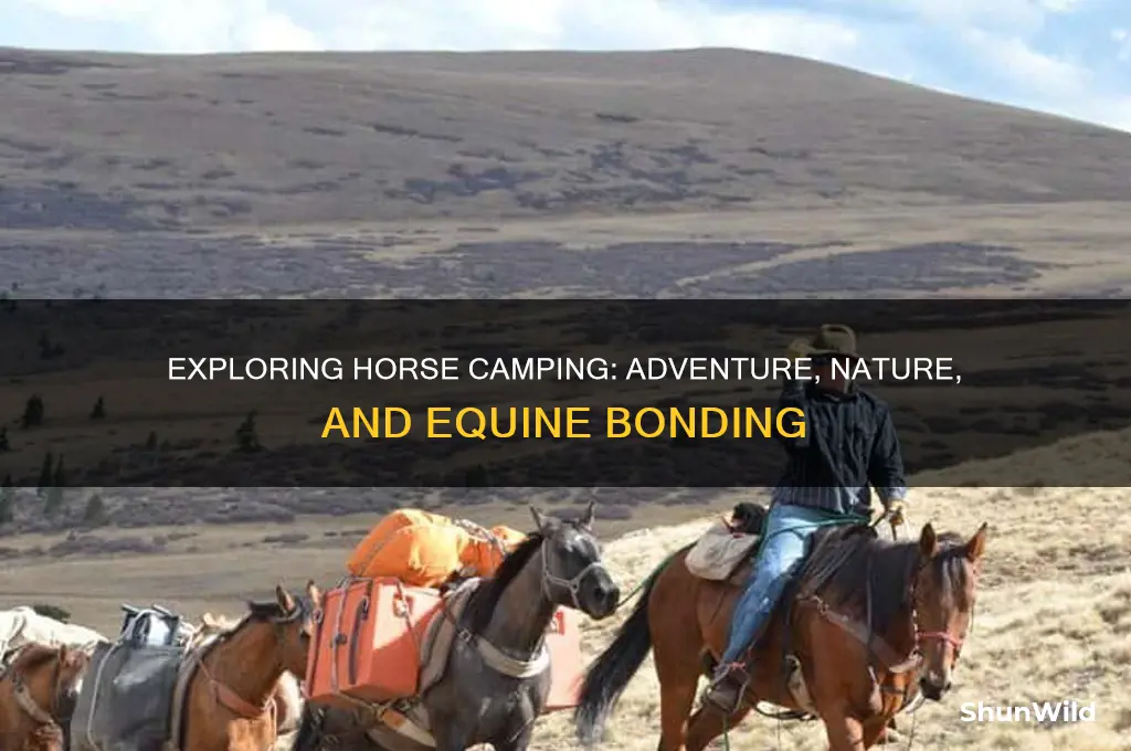 what is a horse camping
