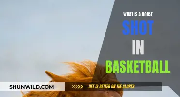 Unraveling the Mystery: Horse Shot in Basketball Explained