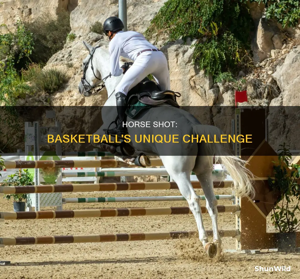 what is a horse shot in basketball