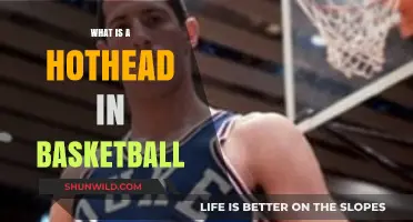 Understanding the Hothead: Emotional Players in Basketball Explained