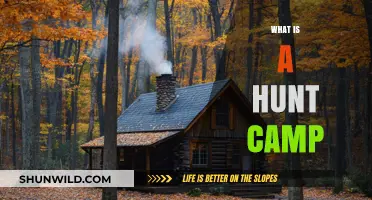 Exploring the Rustic Charm and Traditions of a Hunt Camp