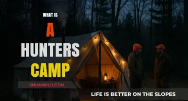 Exploring the Essentials of a Hunter's Camp: Gear, Safety, and Tips