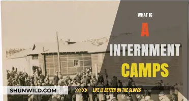 Understanding Internment Camps: History, Impact, and Legacy Explained