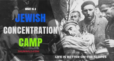 Understanding Jewish Concentration Camps: History, Purpose, and Legacy Explained
