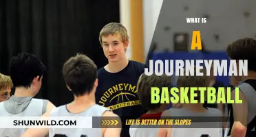 Understanding the Role of a Journeyman in Basketball Careers
