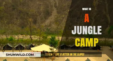 Exploring the Wild: What is a Jungle Camp and Its Adventure