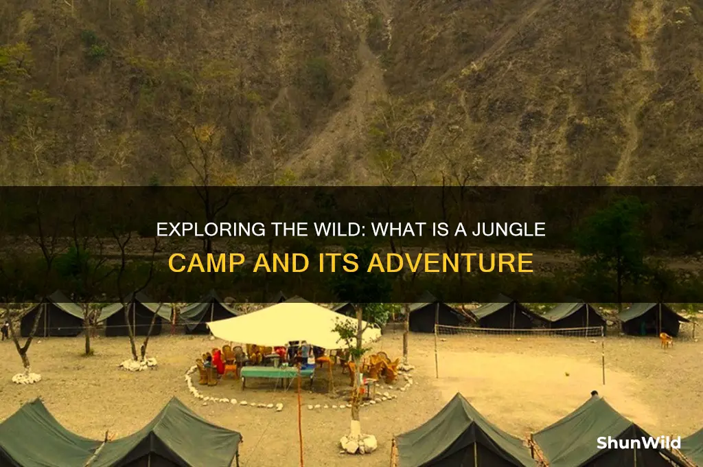 what is a jungle camp