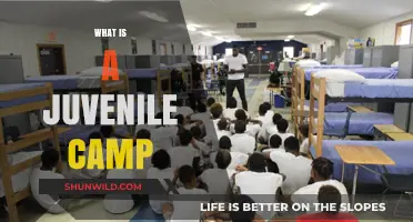 Understanding Juvenile Camps: Purpose, Programs, and Impact on Youth