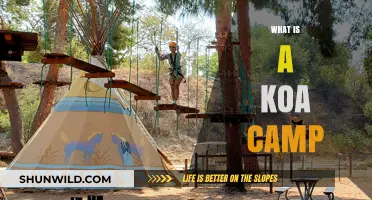 Discover the Unique Experience of a KOA Campground Adventure