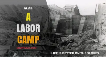 Understanding Labor Camps: History, Purpose, and Modern Implications