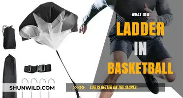 Understanding the Basketball Ladder: Essential Tool for Skill Development