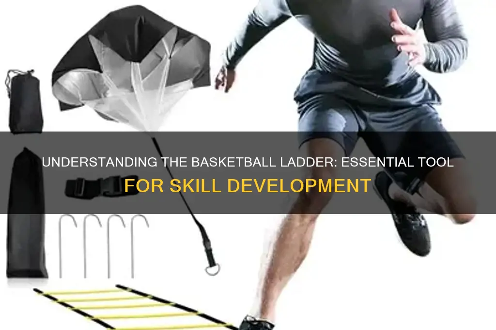 what is a ladder in basketball