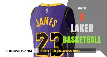 Understanding the Los Angeles Lakers: History, Legacy, and Basketball Impact