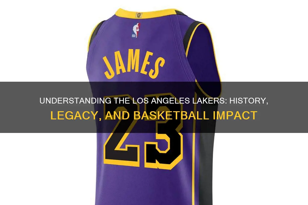 what is a laker basketball