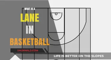 Understanding Basketball Lanes: Zones and Strategies