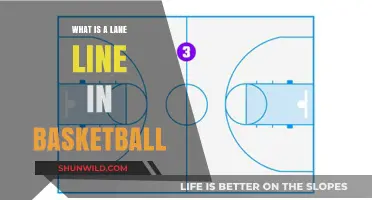 Understanding the Role of Lane Lines in Basketball Court Layout
