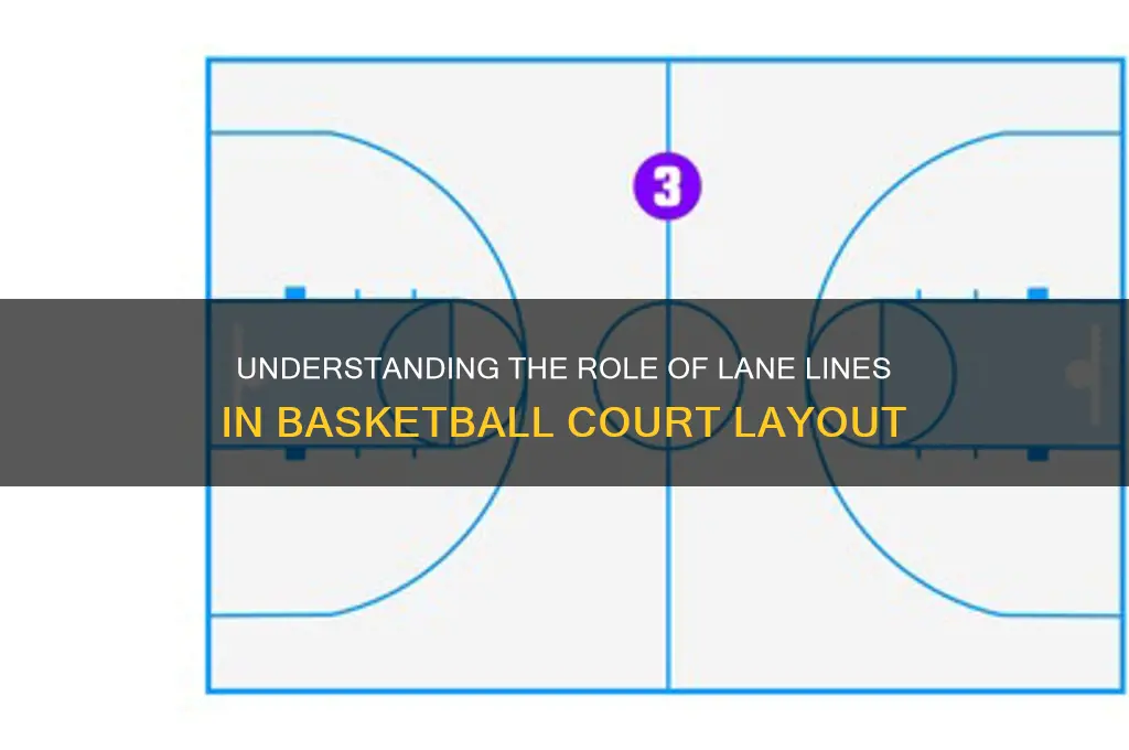 what is a lane line in basketball