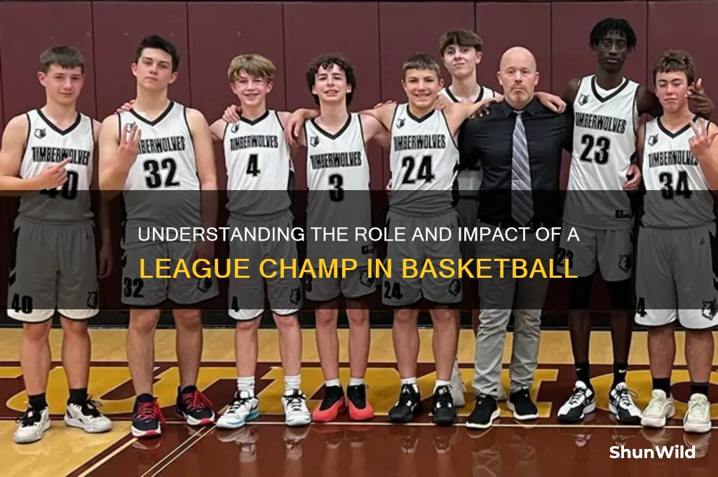 what is a leagye champ for basketball