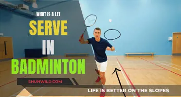 Understanding Let Serve: Badminton's Intricate Rule