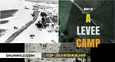 Understanding Levee Camps: History, Purpose, and Modern Significance