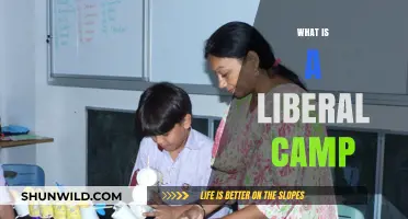 Understanding the Liberal Camp: Values, Beliefs, and Political Philosophy
