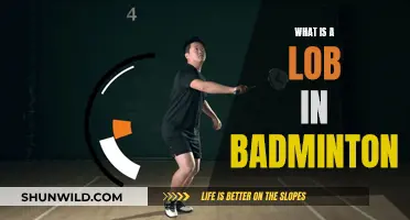 Understanding the Lob Shot in Badminton