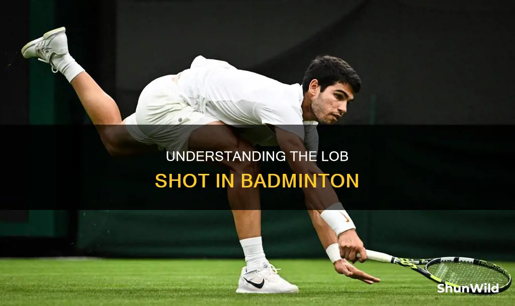 what is a lob in badminton