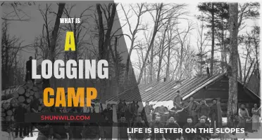 Exploring the History and Life in Logging Camps